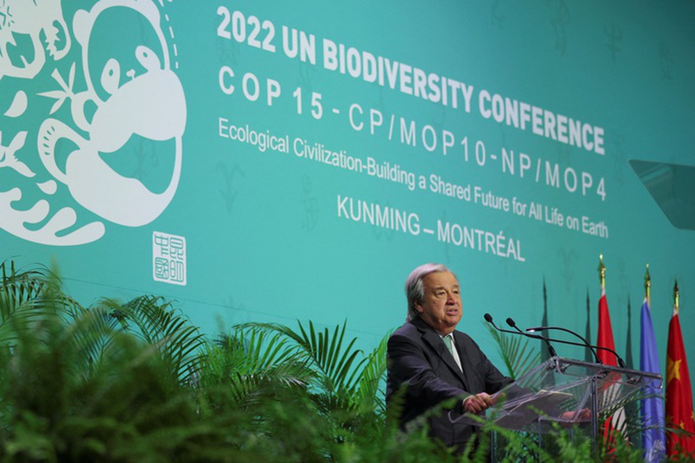 LHQ kêu gọi thỏa thuận bảo vệ đa dạng sinh học - Ảnh 1.