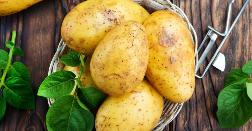 Lợi ích bất ngờ khi ăn khoai tây với cách chế biến tối ưu giữ trọn dinh dưỡng - Ảnh 1.