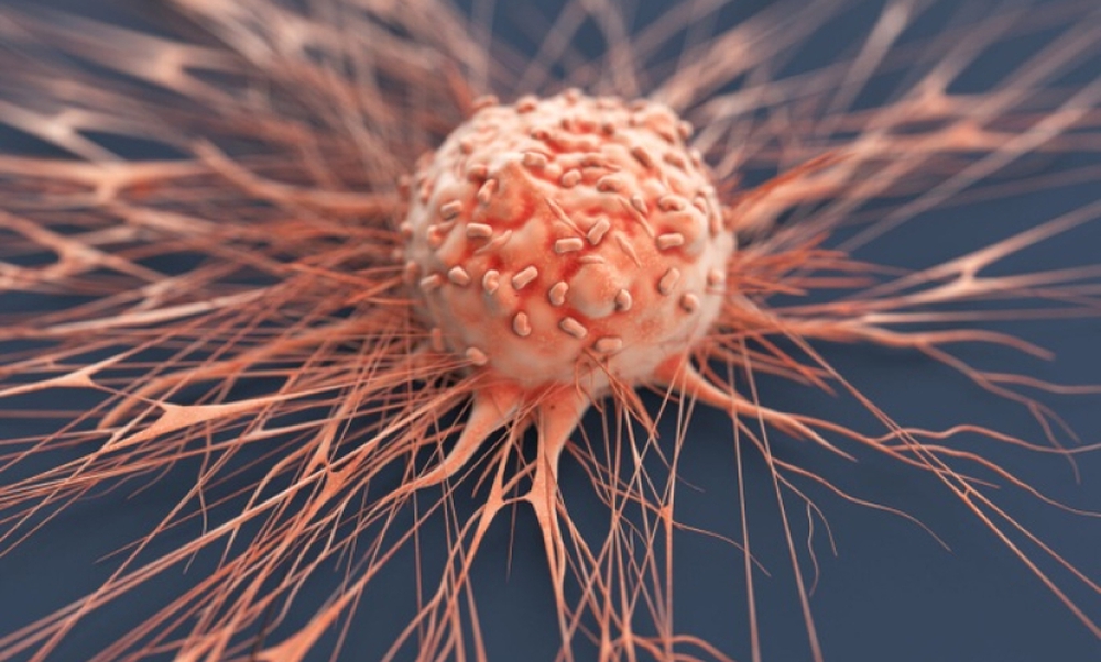 WHO cảnh báo 2 chất gây ung thư nhóm 1 thường ẩn náu trong mâm cơm gia đình - Ảnh 1.