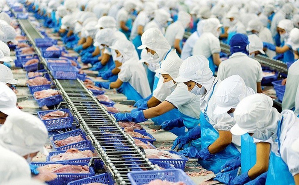 Những lưu ý với doanh nghiệp xuất khẩu thủy sản sang Trung Quốc
