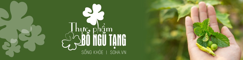 4 gia vị kháng viêm, quét sạch mỡ máu cực kỳ tốt: Nhà nào cũng có, chỉ chưa biết dùng - Ảnh 6.