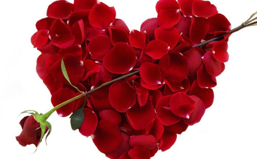 Ngày Valentine 14/2, hoa hồng và socola trở thành từ khoá được "nhà nhà" tìm kiếm