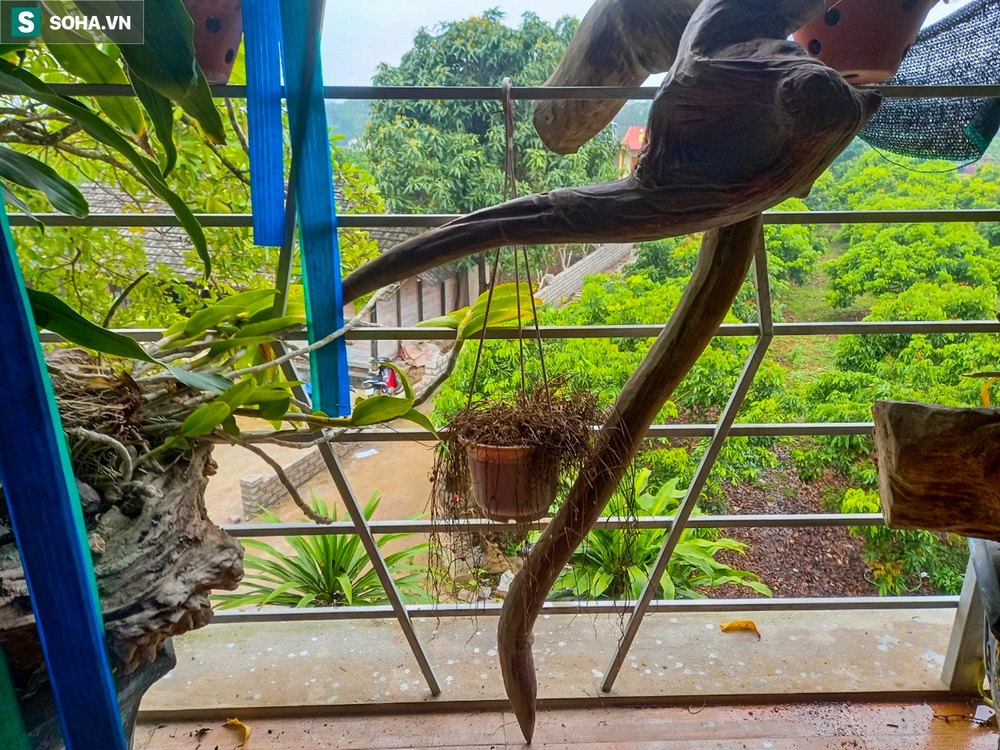 Hé lộ số tiền gia đình nạn nhân còn nợ kẻ dùng súng bắn 2 vợ chồng ở Thái Nguyên - Ảnh 1.