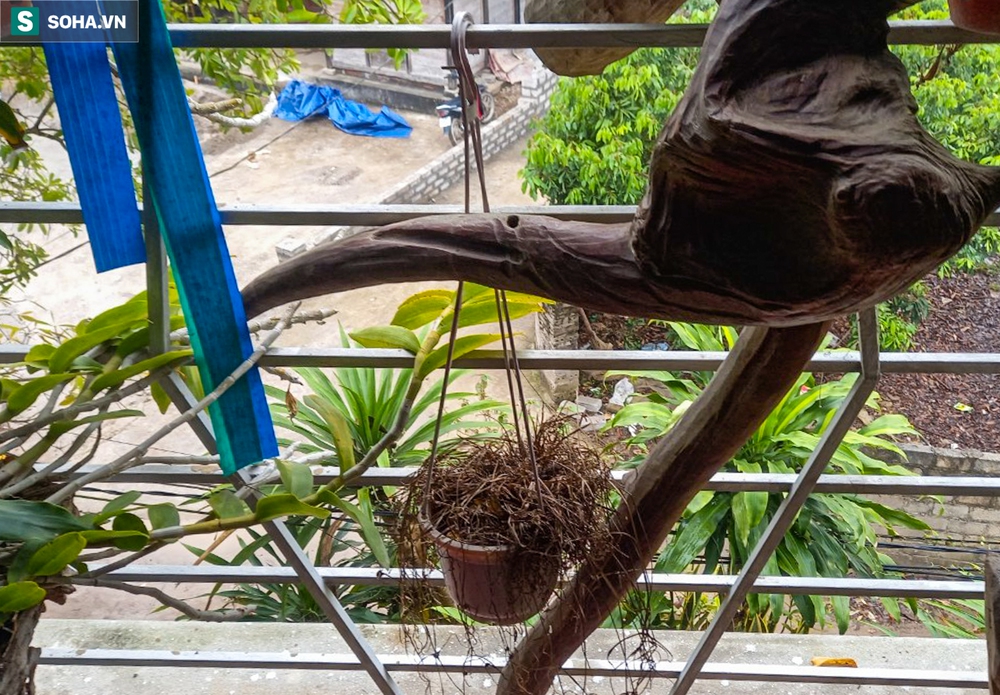 Vụ nổ súng 2 người chết ở Thái Nguyên: Gia đình nạn nhân khẳng định đã trả hết nợ - Ảnh 1.