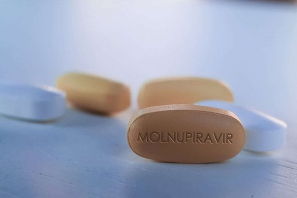 Thuốc Molnupiravir chuẩn bị được bày bán chính thức trên thị trường: Ai không được dùng? - Ảnh 1.