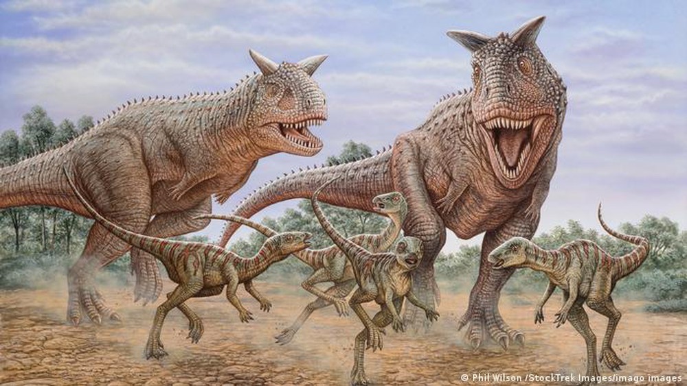 Các nhà khảo cổ vừa phát hiện một loài khủng long cụt tay, nhưng chúng tàn mà không phế - Ảnh 7.