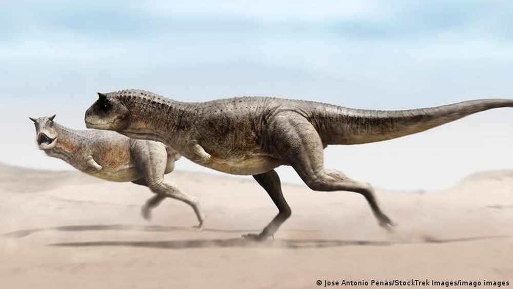 Các nhà khảo cổ vừa phát hiện một loài khủng long cụt tay, nhưng chúng tàn mà không phế - Ảnh 9.