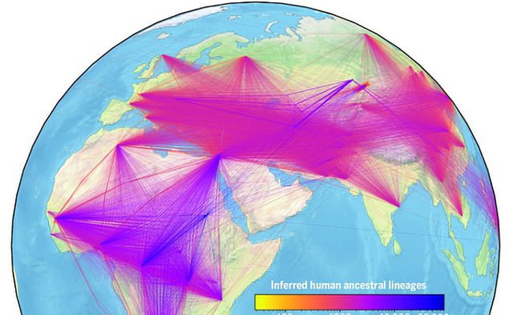 Cây phả hệ lớn nhất thế giới kết nối 27 triệu người trên Trái đất