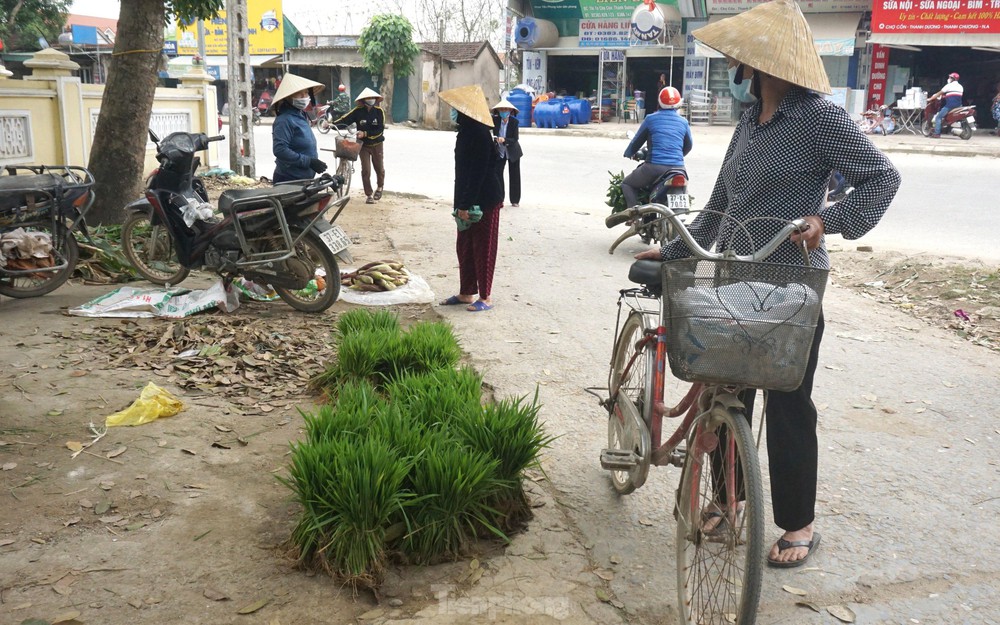 Độc đáo chợ bán cây lúa non như bán rau - Ảnh 2.