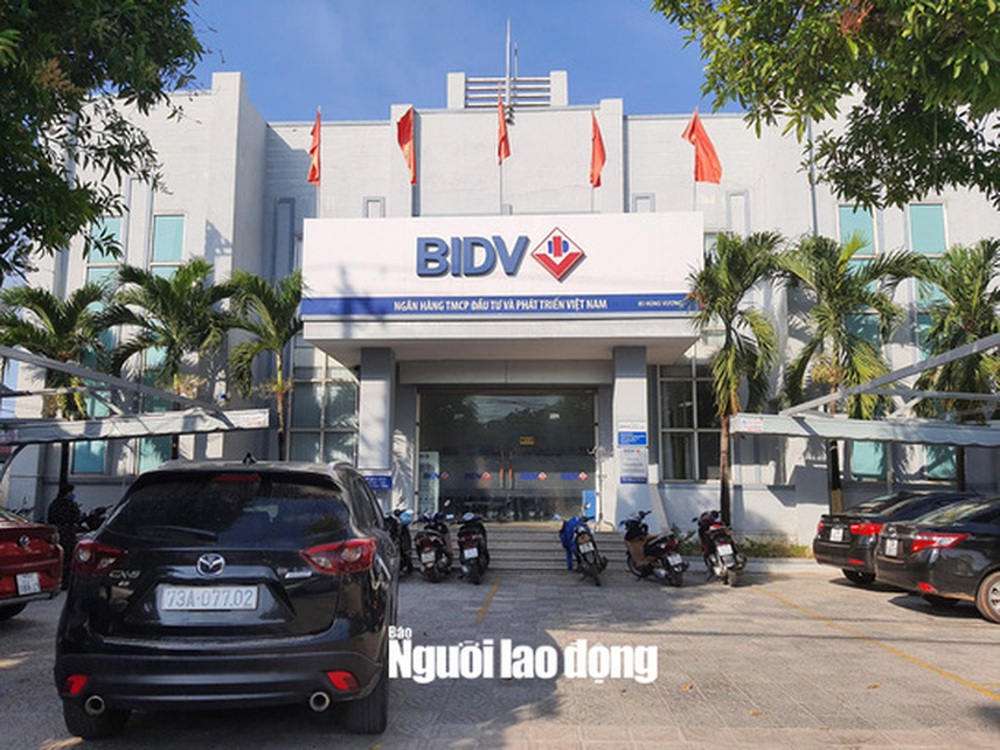 Dương Minh Phú dùng thủ thuật lừa đảo hơn 30,6 tỉ đồng của BIDV - Ảnh 2.