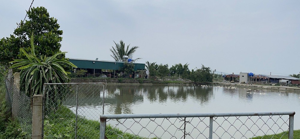 Công an ập vào bắt quả tang 18 nam nữ lập sới đánh bạc trong trang trại chăn nuôi  - Ảnh 1.