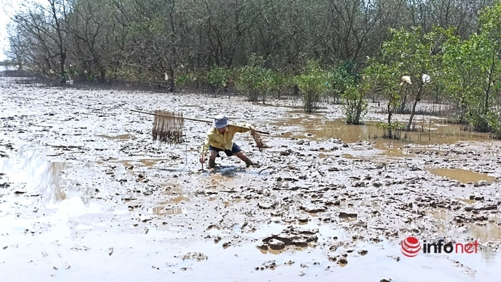 Đổ xô đi săn loại cá kỳ dị nhất hành tinh, cá còi cọc nhưng giá đắt như tôm tươi - Ảnh 9.