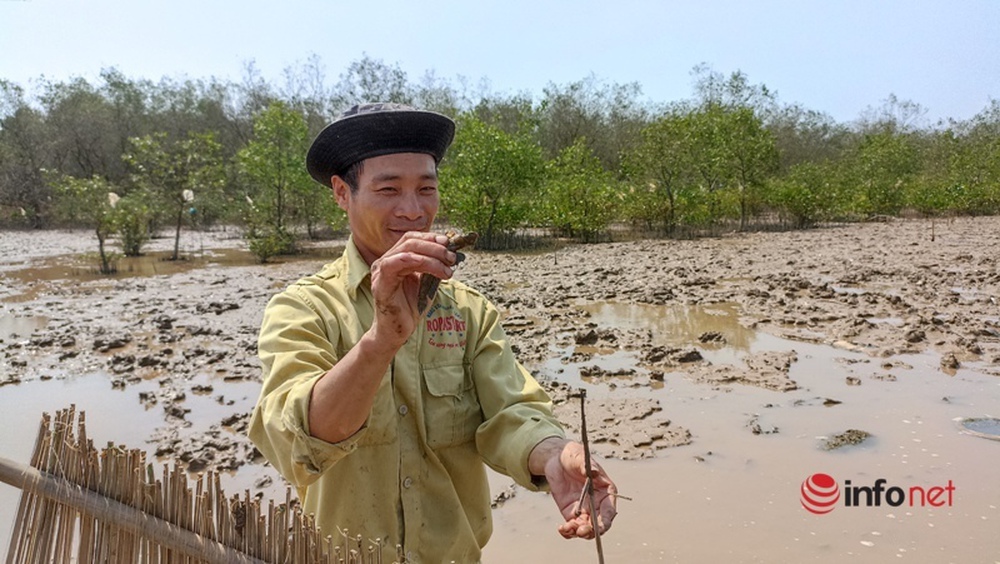 Đổ xô đi săn loại cá kỳ dị nhất hành tinh, cá còi cọc nhưng giá đắt như tôm tươi - Ảnh 12.