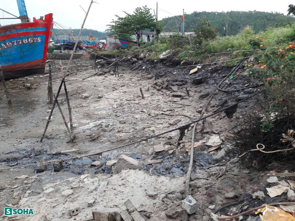 Mùi hôi thối hành hạ nhiều năm không ngủ nổi, hàng chục hộ dân ký đơn tập thể kêu cứu - Ảnh 6.