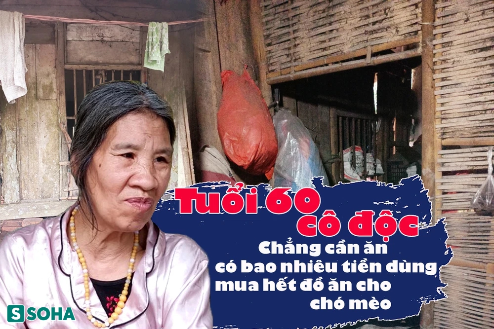 Người phụ nữ cô độc trong căn nhà xiêu vẹo, có bao tiền chỉ mua đồ ăn cho chó mèo - Ảnh 3.