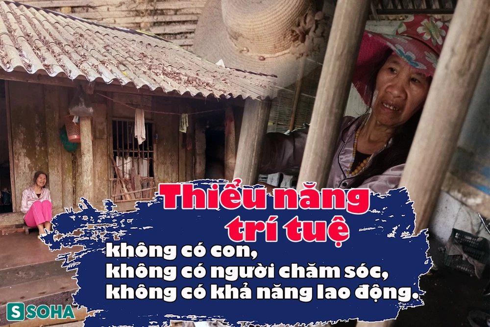 Người phụ nữ cô độc trong căn nhà xiêu vẹo, có bao tiền chỉ mua đồ ăn cho chó mèo - Ảnh 2.