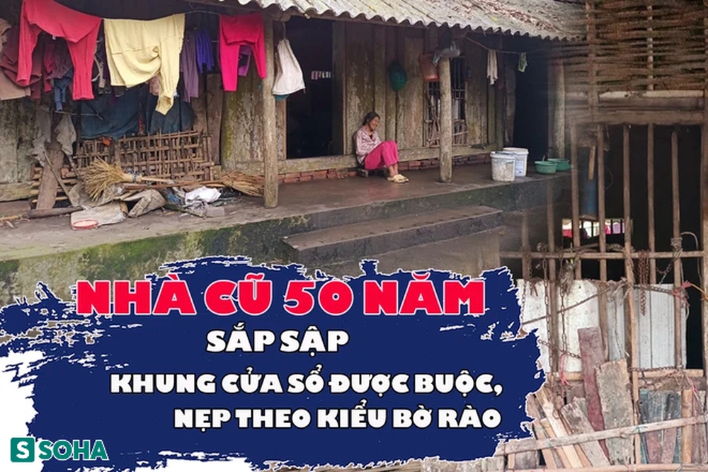 Người phụ nữ cô độc trong căn nhà xiêu vẹo, có bao tiền chỉ mua đồ ăn cho chó mèo - Ảnh 1.