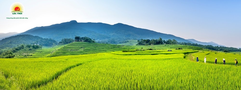 Doanh thu tăng kỷ lục, 1 đại gia bán gạo xuyên biên giới thu lời trăm tỷ - Ảnh 2.