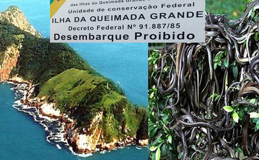 Những hòn đảo kỳ dị nhất thế giới: Có nơi 1 mét vuông gặp 5 con rắn độc, chỗ bị gắn với lời nguyền chưa lời giải