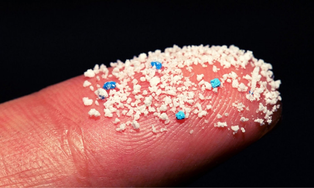 The Netherlands first discovered microplastics in human blood - Photo 1.