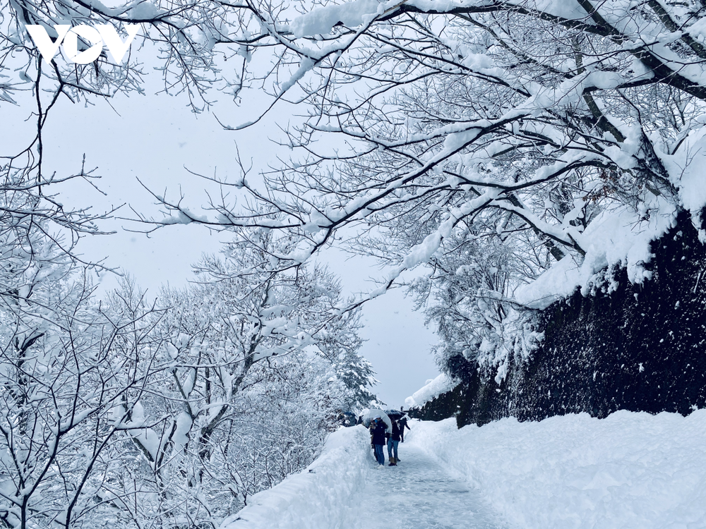 Ngẩn ngơ ngắm mùa đông cổ tích ở Shirakawa Nhật Bản - Ảnh 4.