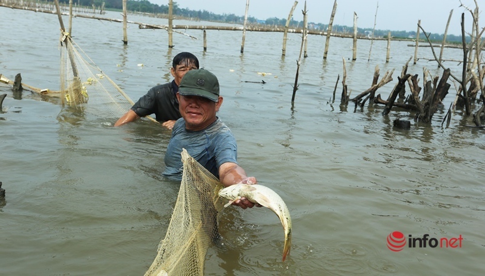Độc chiêu dỡ chươm, giăng lưới bắt cá trên sông thu tiền triệu mỗi ngày - Ảnh 11.