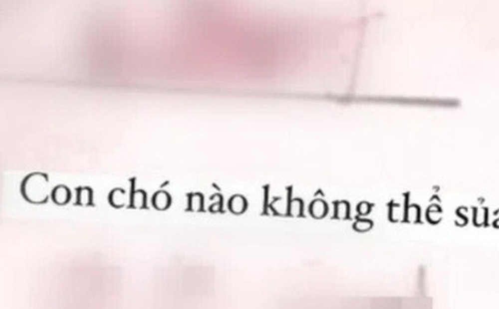 Giáo viên hỏi: "Con chó nào không thể sủa", học trò đáp lại 2 từ khiến cô giáo phải trầm trồ: Thiên tài!