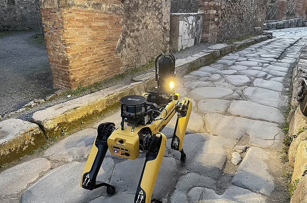Thành phố cổ Italy tuyển robot chó để chống kẻ săn trộm - Ảnh 1.
