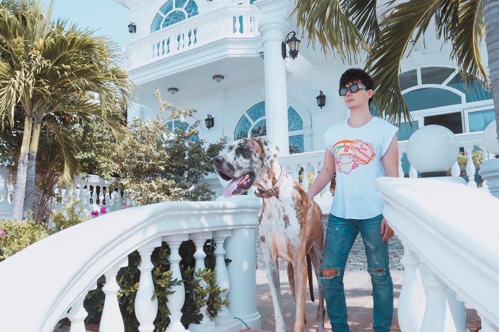 Hình ảnh