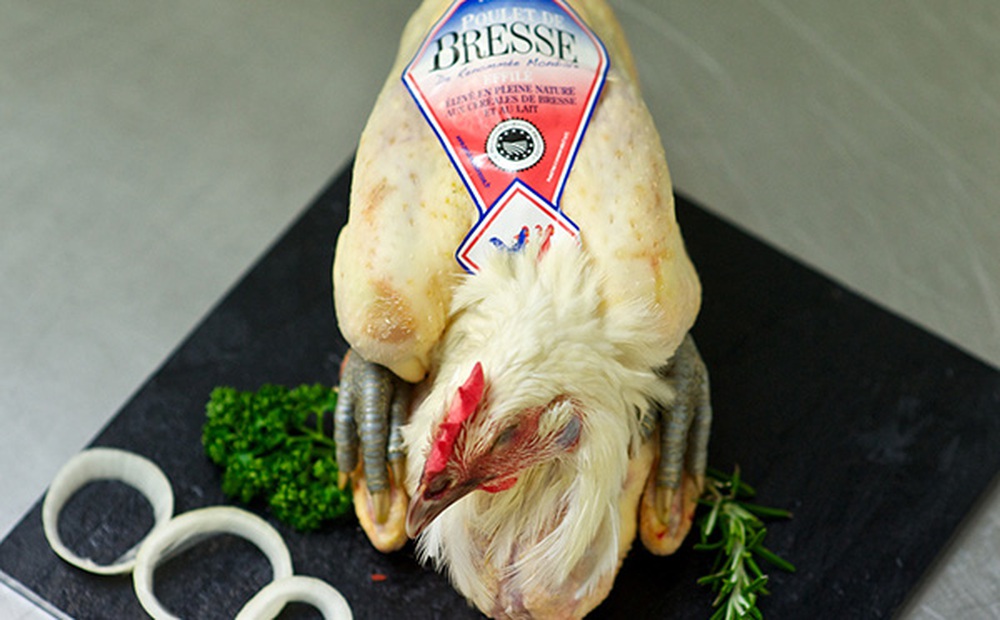 Loại gà quốc bảo có giá 1 triệu đồng/kg, món ăn ưa chuộng của nhiều Tổng thống, chỉ dành riêng cho giới thượng lưu