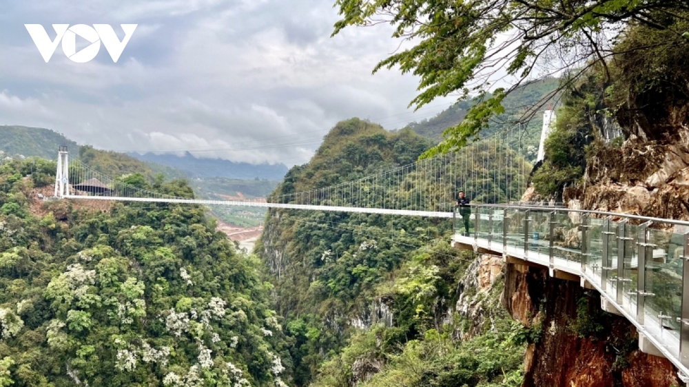 Cầu kính đi bộ dài nhất thế giới tại cao nguyên Mộc Châu sẽ hoạt động vào dịp lễ 30/4 - Ảnh 4.