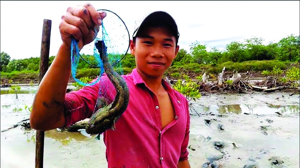 Loài cá tinh quái biết leo cây, làm nhiều trò khỉ lạ lùng nhất miền Tây - Ảnh 3.