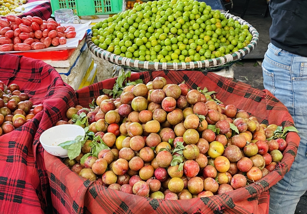 Post-Son La plums at the beginning of the season are still attractive to buyers - Photo 1.