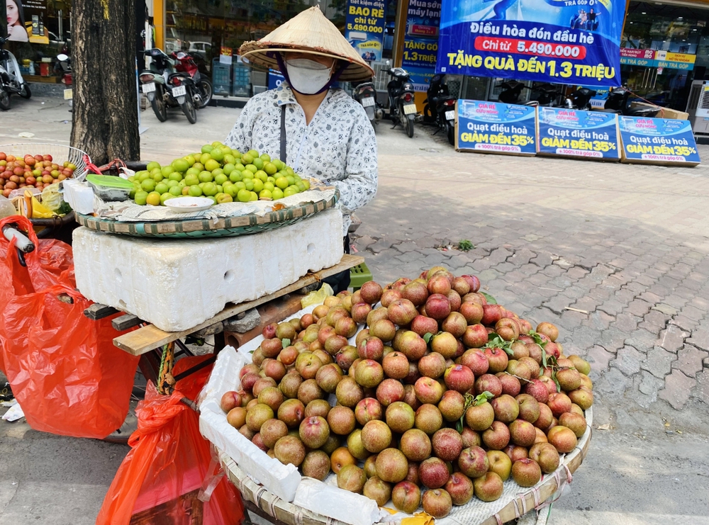 Mận hậu Sơn La đầu mùa giá chát vẫn hút người mua - Ảnh 3.