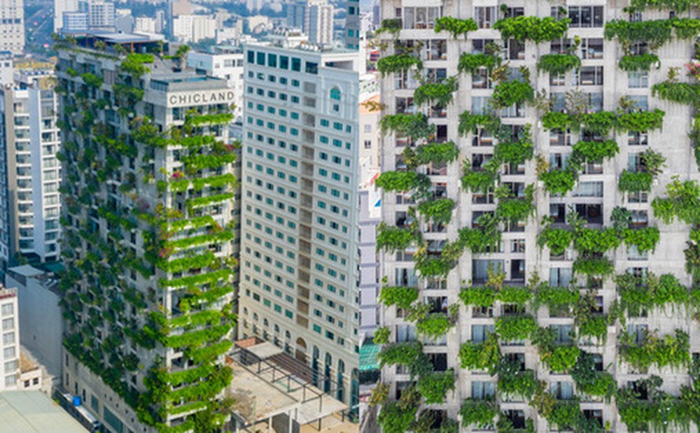 Toà nhà xanh mướt ở Đà Nẵng khiến bất cứ ai đi ngang cũng phải ngoái nhìn, dân mạng trầm trồ vì thiết kế quá độc lạ