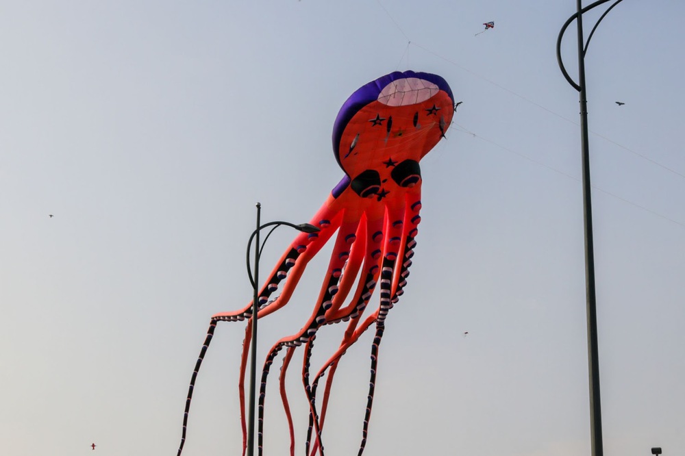 The hottest kite-flying beach in Saigon: Where adults find their childhood, children play healthy - Photo 2.