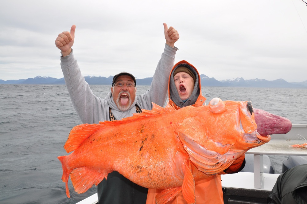 The angler pulls up the strange fish with bulging eyes, stomach sticking out of the mouth: What is this phenomenon?  - Photo 2.