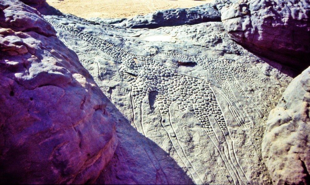 Thành cổ bí ẩn trong sa mạc Sahara - Ảnh 2.