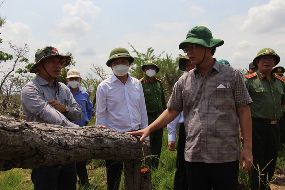  Bí thư, chủ tịch tỉnh Đắk Lắk kiểm tra hiện trường vụ phá rừng gây xôn xao dư luận  - Ảnh 2.