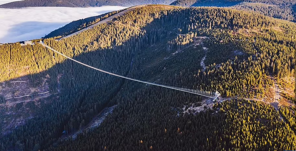 Mục sở thị cây cầu treo dài nhất thế giới bắc qua thung lũng sâu - Ảnh 3.