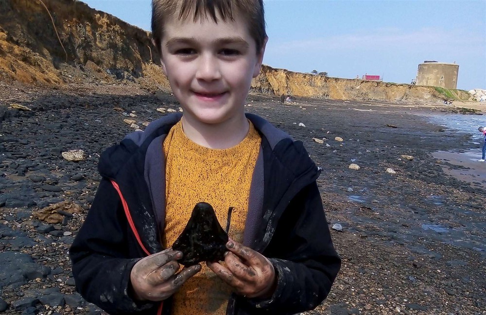 Walking on the beach, a 6-year-old boy discovered the teeth of an ancient shark that once ruled the sea - Photo 1.