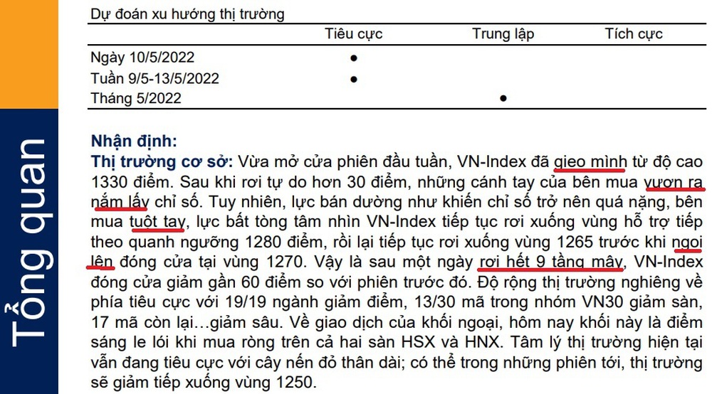 Chưa hết sốc nặng vì ngày thứ 2 đen tối, NĐT bất ngờ trước nhận định lạ của CTCK - Ảnh 1.