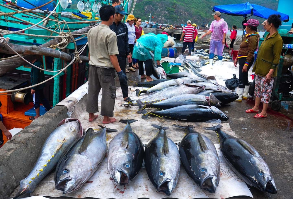 Nghề cưỡi gió, đạp sóng giúp làng biển nghèo lột xác, nhà cao tầng, biệt thự mọc san sát - Ảnh 1.