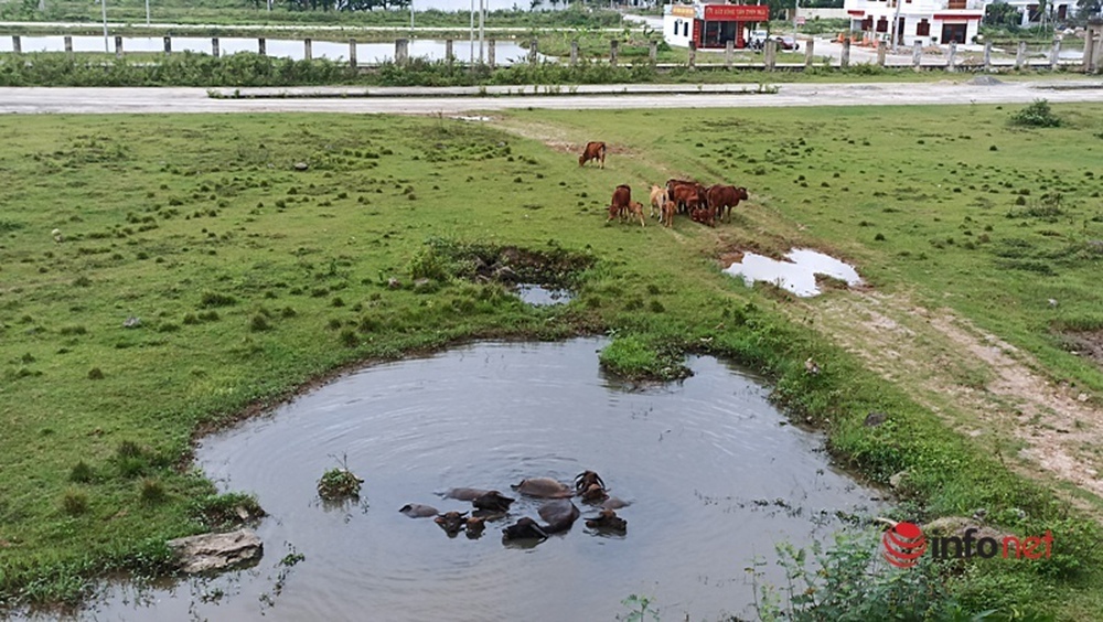 Dự án trường Đại học nghìn tỷ đắp chiếu cả thập kỷ - Ảnh 10.