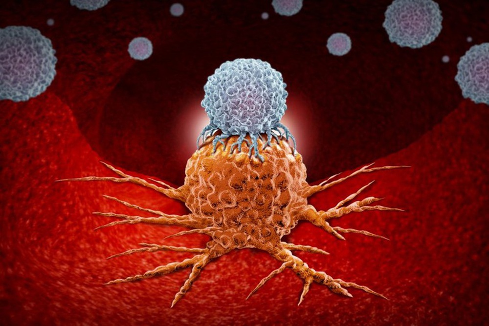 Cancer cells are stronger than normal cells: 5 mistakes that can affect the patient's life - Photo 1.
