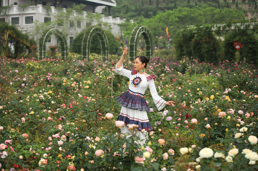 Vibrant red climbing roses in Fansipan rose valley in May season - Photo 5.