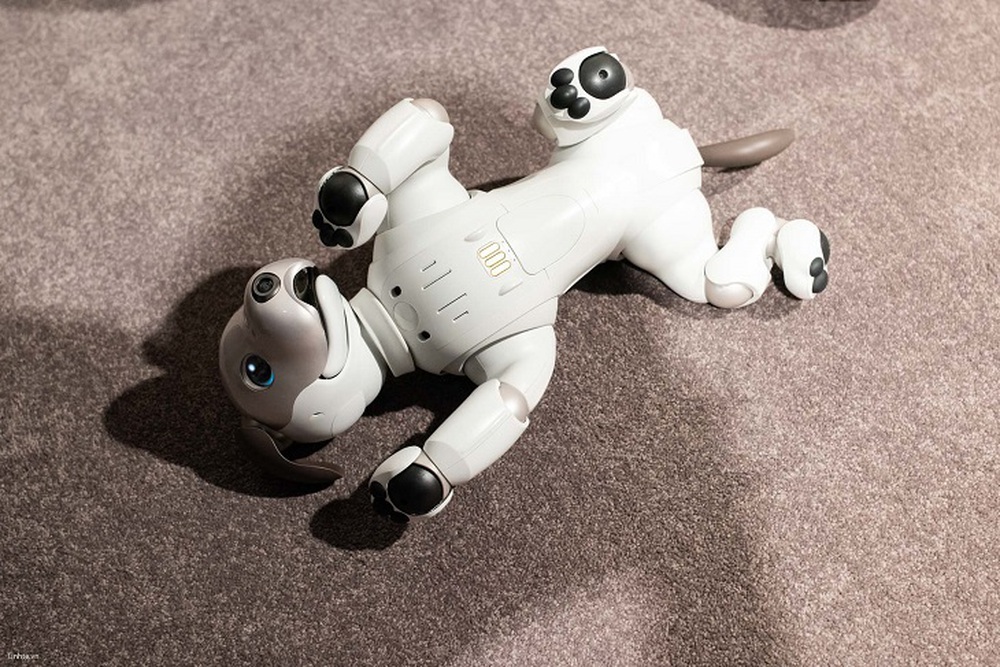 Khám phá chú chó robot Sony Aibo, món đồ chơi có giá 70 triệu mà mọi đứa trẻ đều mơ ước! - Ảnh 13.