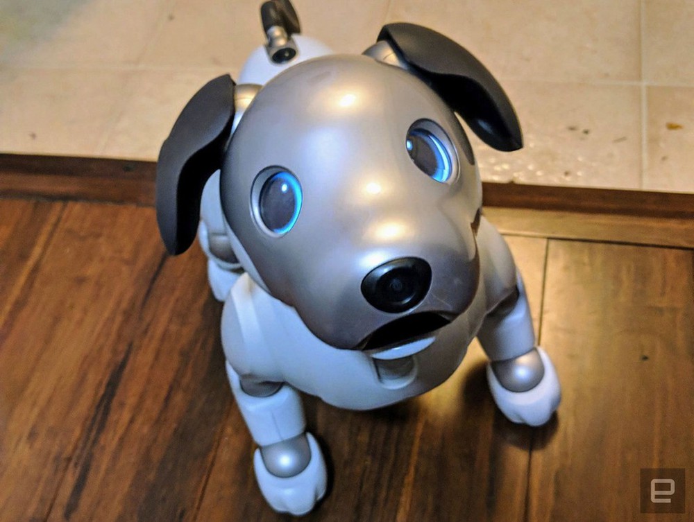 Khám phá chú chó robot Sony Aibo, món đồ chơi có giá 70 triệu mà mọi đứa trẻ đều mơ ước! - Ảnh 14.