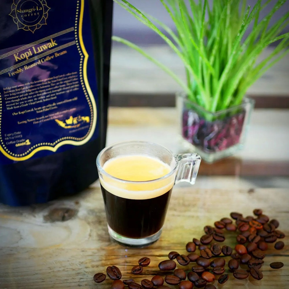 Tạp chí quốc tế xếp cà phê Việt Nam vào top cà phê ngon nhất thế giới - Ảnh 5.