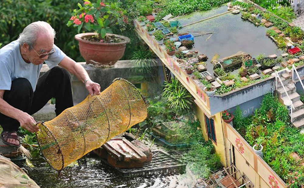 Cụ ông 87 tuổi "chịu chơi" mang cả cái ao đặt trên mái nhà rồi trồng rau nuôi cá: "Nhiều người nói tôi liều lĩnh"